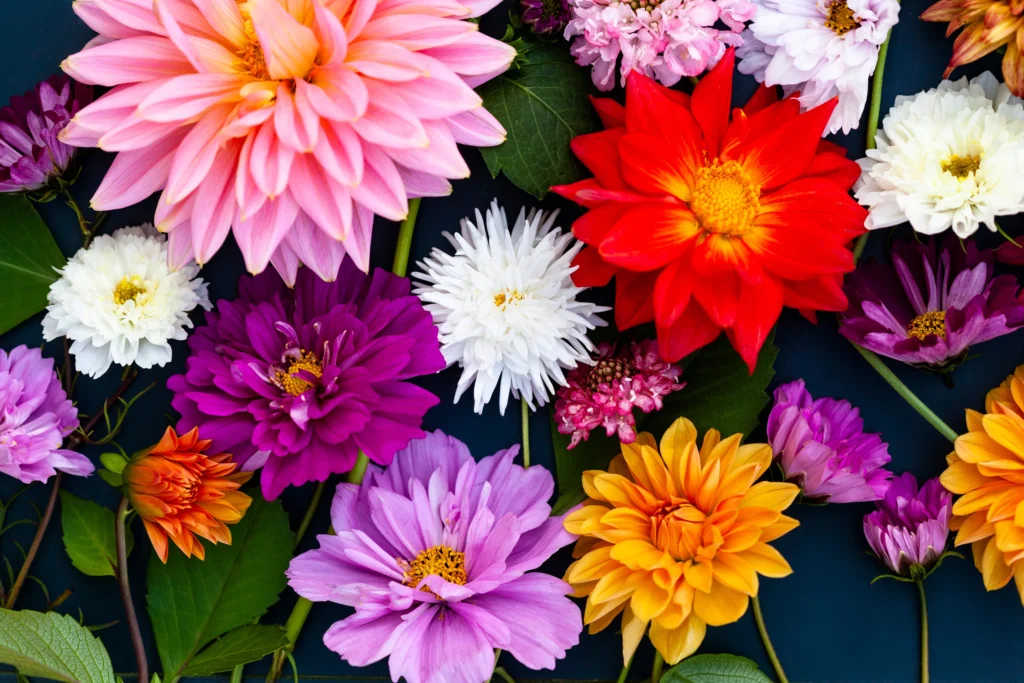 Feria de las Flores 2024