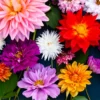 Feria de las Flores 2024