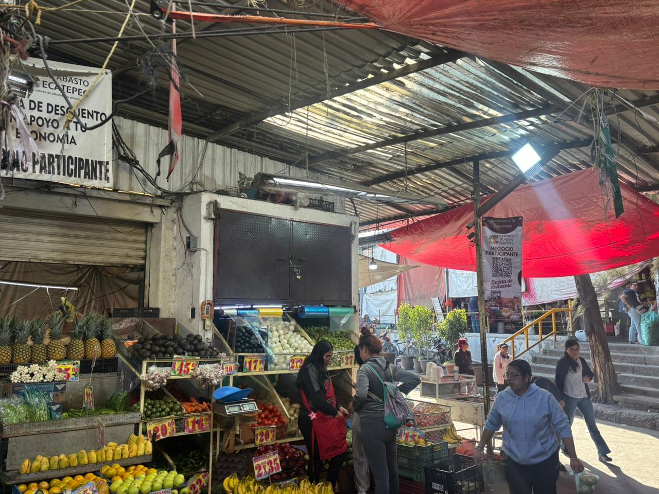 WhatsApp Image 2026-01-29 at 15.50.40