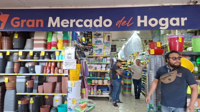 WhatsApp Image 2026-02-20 at 14.10.20